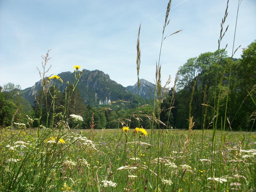 Ferienwohnungen Rexha Schwangau Exterior foto